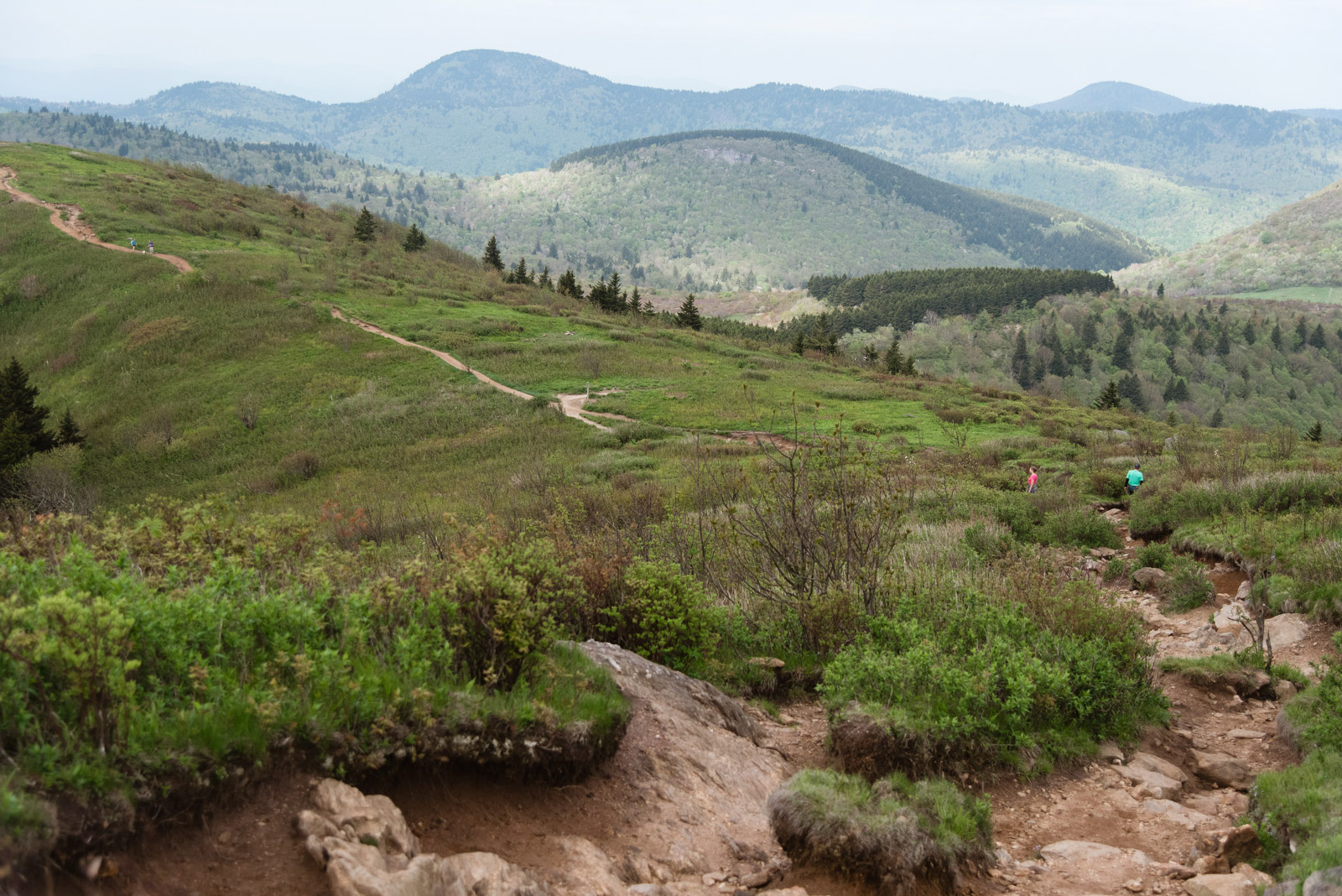 Black Balsam Knob Via Art Loeb Trail - For The Love Of Wanderlust