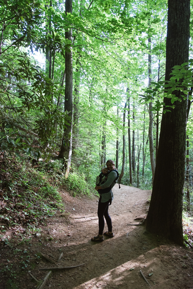 Moore Cove Falls Trail - Pisgah National Forest - For the Love of ...