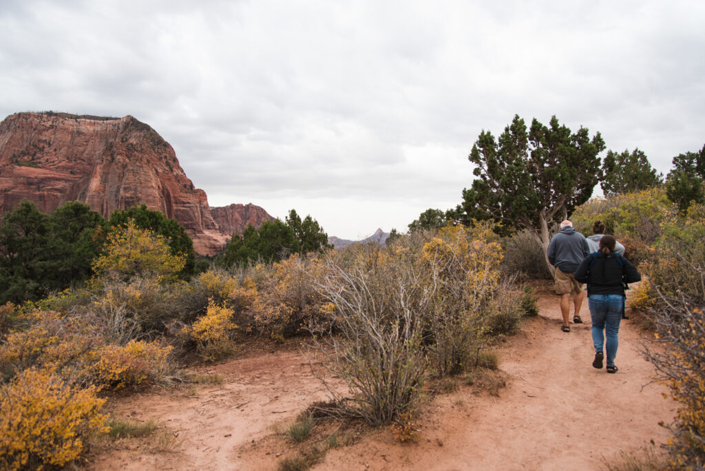 Timber Creek Overlook Trail -Zion, UT - For the Love of Wanderlust