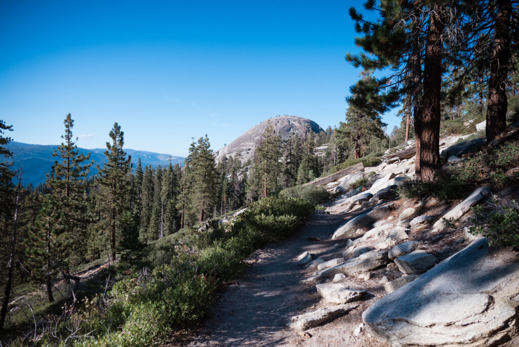 How We Spent 4 Full Days in Yosemite National Park - For the Love of ...