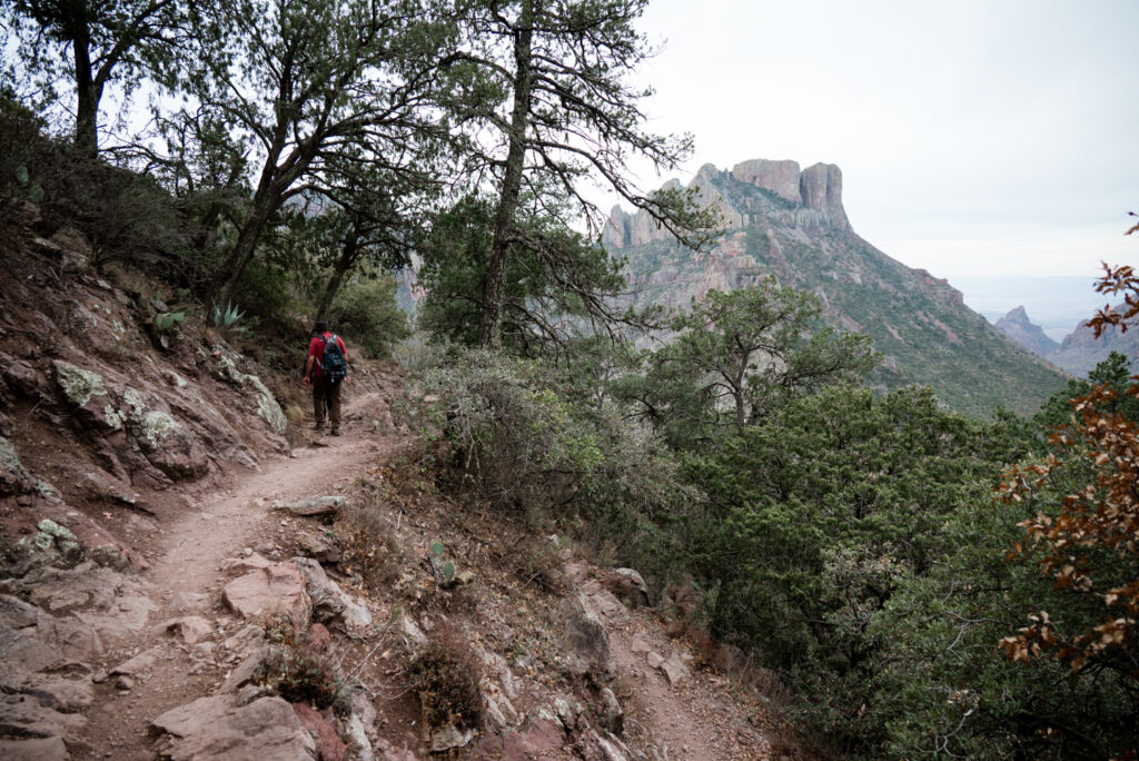 How I'd Spend One Day in Big Bend National Park - For the Love of ...