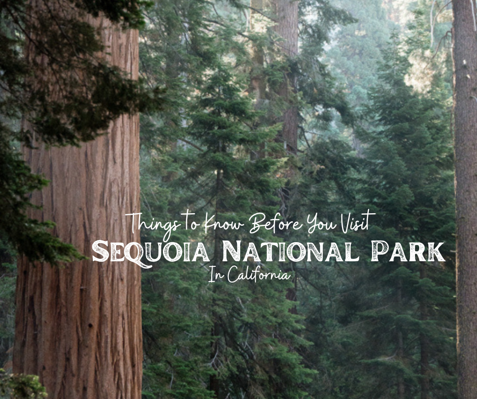 Things to Know Before Visiting Sequoia National Park